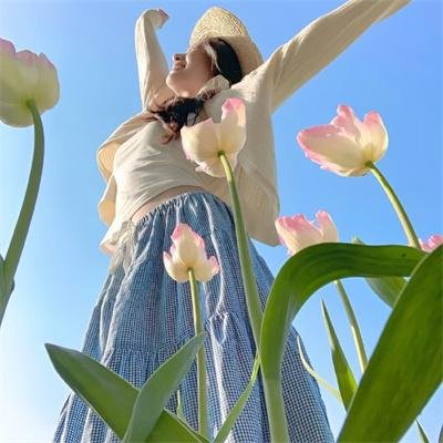 清宫气数录粤语